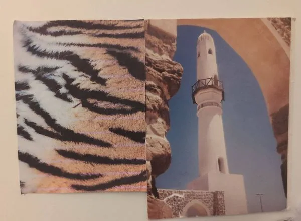 Collage Three
